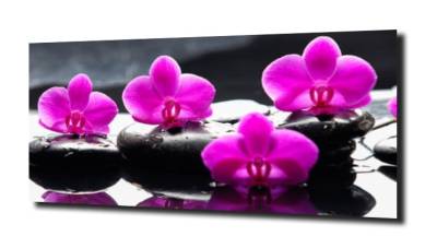 obraz na szkle, panel szklany Orchidea 53 