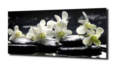 obraz na szkle, panel szklany Orchidea 56 