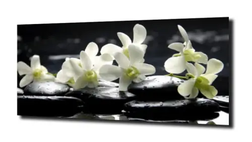 obraz na szkle, panel szklany Orchidea 56 