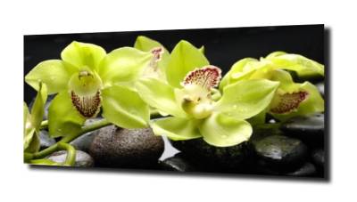 obraz na szkle, panel szklany Orchidea 63 