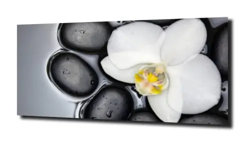 obraz na szkle, panel szklany Orchidea 69 