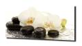 a89613f9de9124ed3f4bd437f42ae356