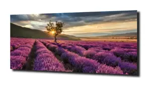 obraz na szkle, panel szklany Lawenda  16 