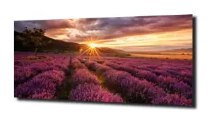 obraz na szkle, panel szklany Lawenda 20  