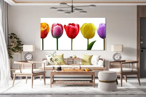 621fe060635ee472097ceca5165fc639