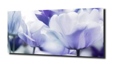 obraz na szkle, panel szklany Tulipany 29 