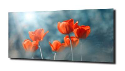 obraz na szkle, panel szklany Tulipany 40 