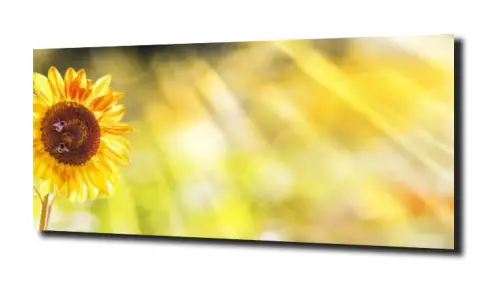 b4d506835de5b386db0b0e5015ba52de