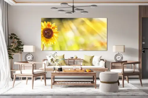 e6e7fd12b3cbf1278c47e5e431ce0780