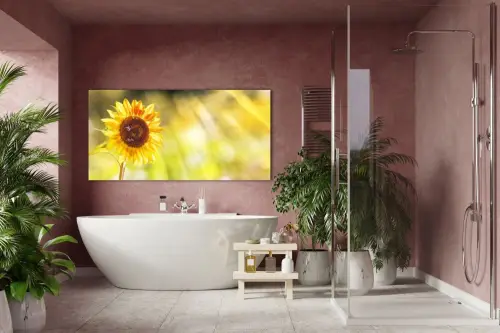 544e32041c357add7ac0cd53af1863d1