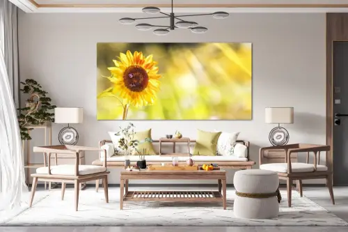 da92fce1a41547e01fd886cb54a7d467