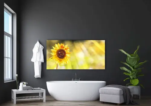 d09b43766e3c0da579ff2da3ebf67b2f