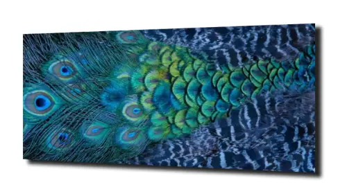 0187890bf2b02784af291ddfcc80f9ac