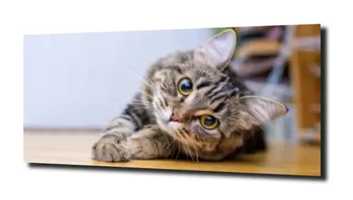 7a488aef5183164c1fef09984ce9bae5