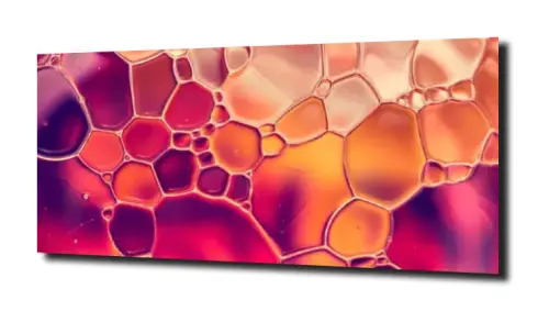 662f0d2899fef31402dee19b2ef9fea9