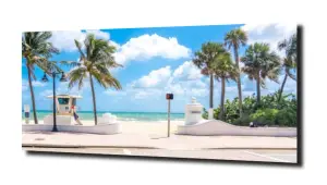 obraz na szkle Plaża palmy Miami wakacje 