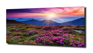 obraz na szkle Kwiaty góry zachód słońca 