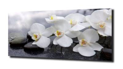 obraz na szkle, panel szklany Orchidea 2 