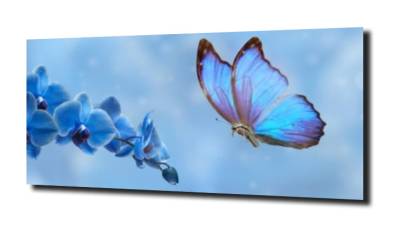 obraz na szkle, panel szklany Orchidea 5 