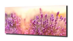 obraz na szkle, panel szklany Lawenda 13 