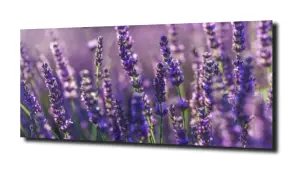 obraz na szkle, panel szklany Lawenda 21 