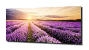 obraz na szkle, panel szklany Lawenda 23 