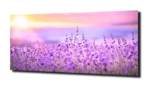 obraz na szkle, panel szklany Lawenda 24 