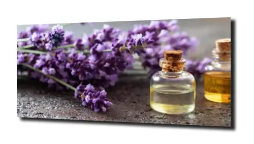 371e331735179761139e37304680700c