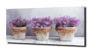 obraz na szkle, panel szklany Lawenda 26 