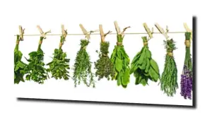 obraz na szkle, panel szklany Lawenda 30 