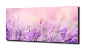 obraz na szkle, panel szklany Lawenda 31 