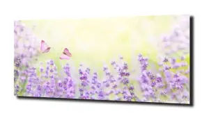 obraz na szkle, panel szklany Lawenda 32 
