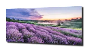 obraz na szkle, panel szklany Lawenda 33 