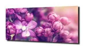 obraz na szkle, panel szklany Lawenda 35 