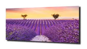 obraz na szkle, panel szklany Lawenda 38 