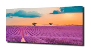 obraz na szkle, panel szklany Lawenda 39 