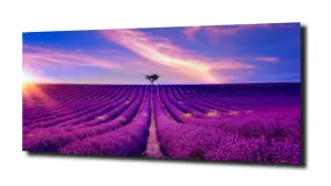 obraz na szkle, panel szklany Lawenda 49 