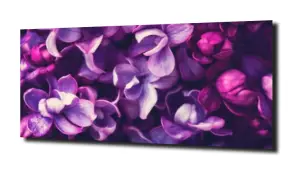 obraz na szkle, panel szklany Lawenda 60 