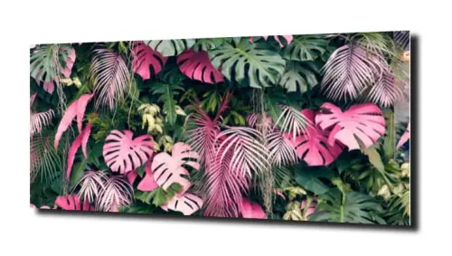 4f85b7eeb5a21e79ecd309cbcafda004