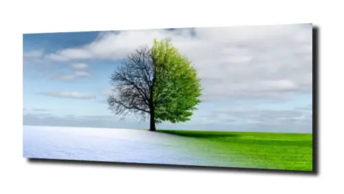 d11c1e357e7b8cf3a0a2020ed2efc18c