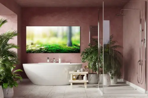 baca57356c307f4fef65df7ab94d47c7