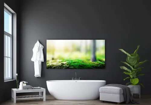 541577d2dd8d064583b21d5c1507c55f