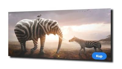 obraz na szkle Zebra słoń zachód słońca  