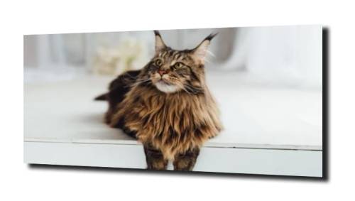 7c4c26721bbb4029d2000c6cd078a462