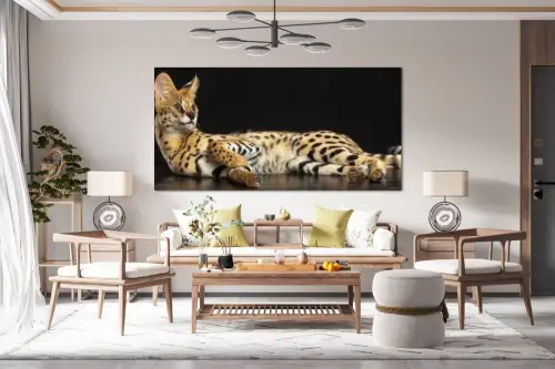 5c7962527e0beaf4af5b65bbbb2394b9