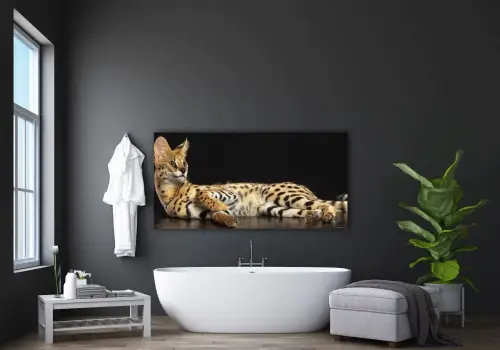 a521efa07497a60f775ab858b8ef38f9