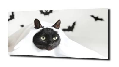 obraz na szkle, panel szklany Kot batman 
