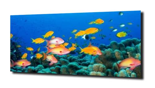 fe945e39c638e1260e8b6d52777e76ba