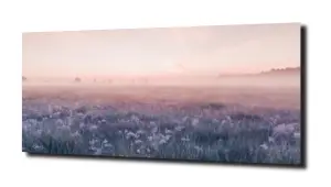 obraz na szkle Kwiaty łąka trawa natura 