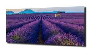 obraz na szkle Domek na lawendowym polu 
